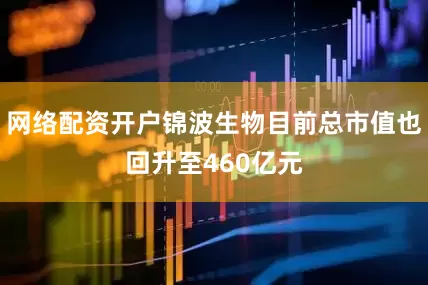 网络配资开户锦波生物目前总市值也回升至460亿元