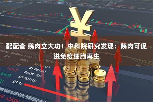 配配查 鹅肉立大功！中科院研究发现：鹅肉可促进免疫细胞再生